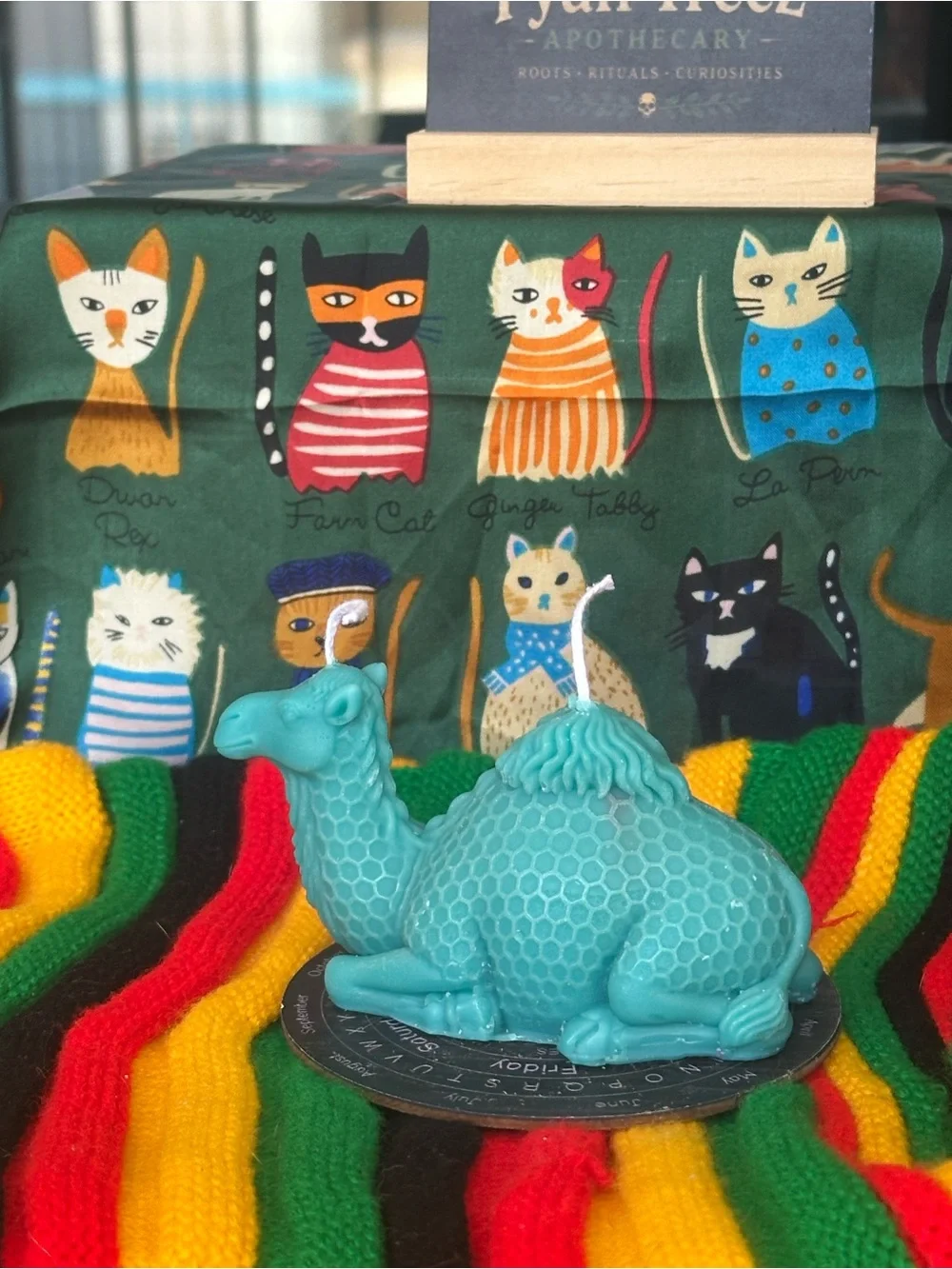 Turquoise Camel Candle